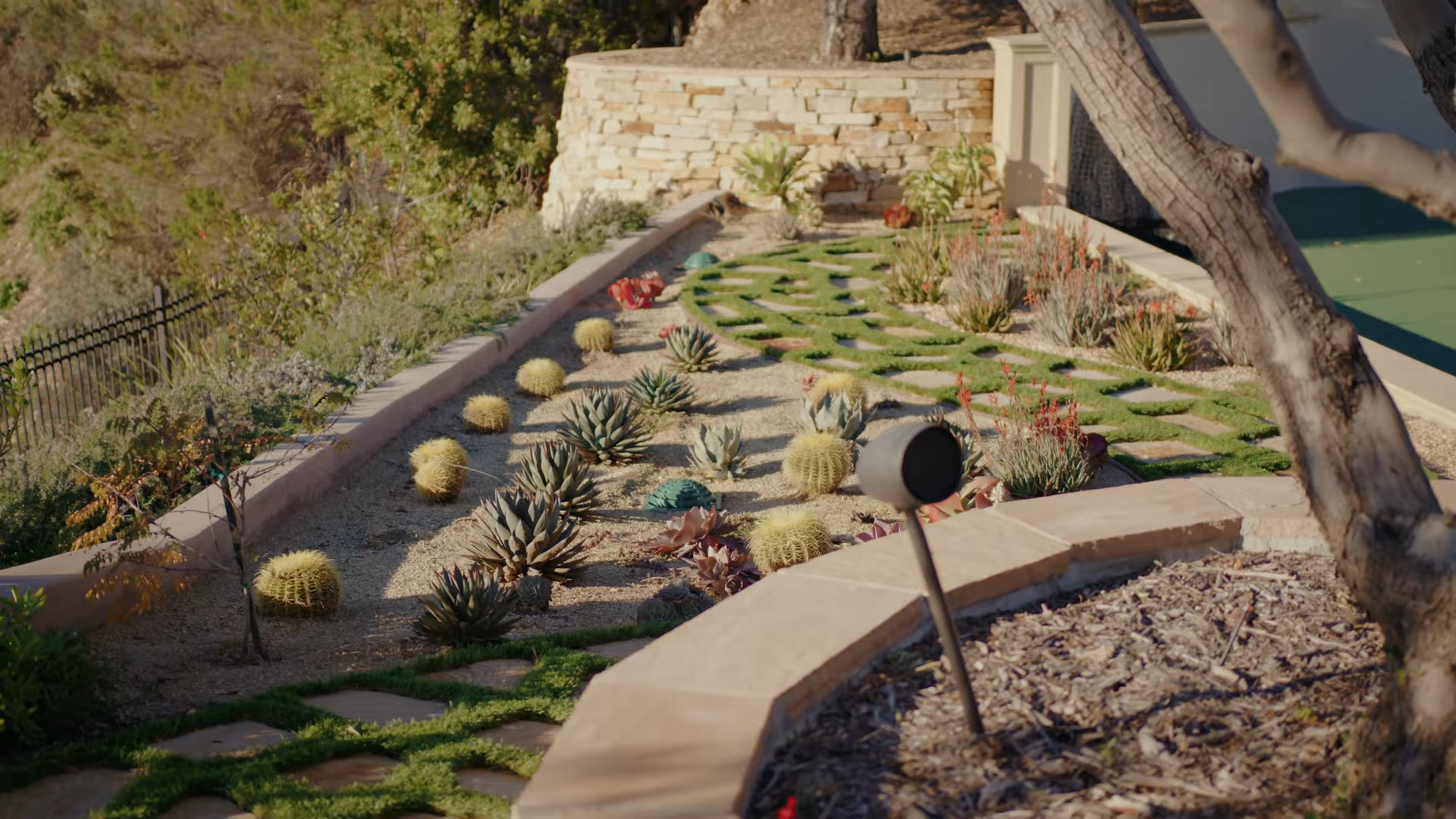 Maintained succulent and low-water planting area